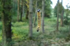 IMG_20210822_182613_1