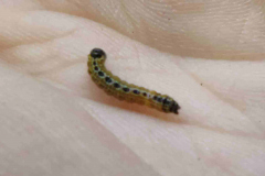 IMG_20210822_182816_1