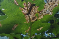 IMG_20210822_183036_1