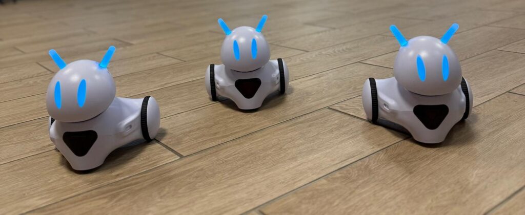 Robotyka dla szkół.